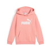 PUMA Hoodie ESS NO. 1 LOGO HOODIE FL PS