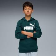 PUMA Hoodie ESS NO. 1 LOGO HOODIE FL B