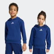 adidas Sportswear Hoodie LK SL FL HD