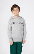 Champion Hoodie (1-delig)