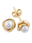 Lady Paar oorhangers