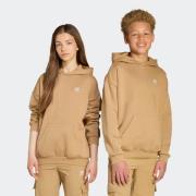 adidas Originals Hoodie LOOSE HOODIE FL