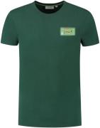 Shiwi T-Shirt Sardines Cilantro Green