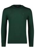 Polo Ralph Lauren Big & Tall trui ronde hals groen effen wol