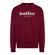 Ballin Est. 2013 Basic sweater