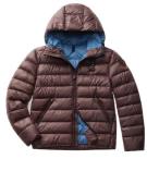 Blauer Virgil eco down jacket