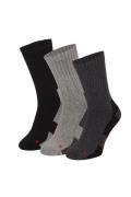 Apollo Dames / heren thermo sokken unisex 3-pack