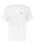 Purewhite Polo shirt pw 2 20