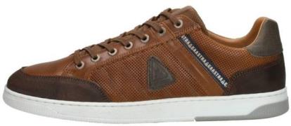 Gaastra Gaastra gellis cognac 2412 509501