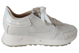 DL Sport 6203 sneaker