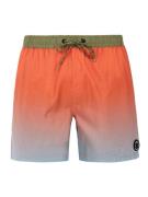 Protest prterin beachshort -