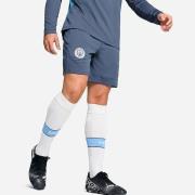 Puma mcfc training shorts -