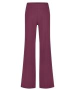 Lady Day Amsterdam broek skyler cherry pinstripe print