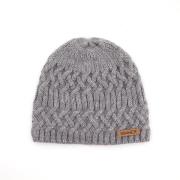 Sinner wren beanie muts ws heren -