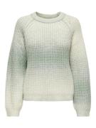 Jacqueline de Yong Jdyeliza l/s raglan o-neck pullover