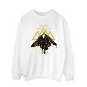 DC Comics Heren zwart adam rising gouden symbolen sweatshirt