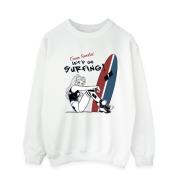 DC Comics Heren harley quinn let's go surfing sweatshirt