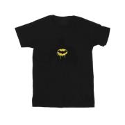 DC Comics Heren batman schaduwverf t-shirt