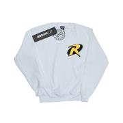 DC Comics Heren batman robin logo sweatshirt