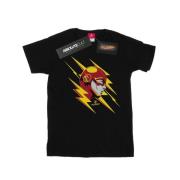 DC Comics Heren the flash lightning portrait t-shirt