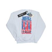 DC Comics Heren justice league movie team vlag sweatshirt