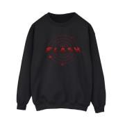 DC Comics Dames the flash multiverse rings sweatshirt