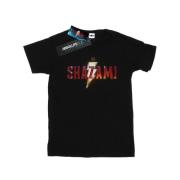 DC Comics Dames shazam movie logo cotton boyfriend t-shirt