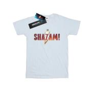 DC Comics Dames shazam movie logo cotton boyfriend t-shirt