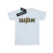 DC Comics Heren shazam tekst logo t-shirt