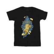 DC Comics Heren shazam fury of the gods golden animal bolt t-shirt