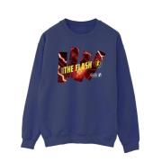 DC Comics Heren the flash pillars sweatshirt