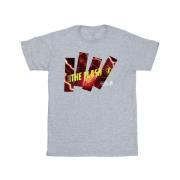 DC Comics Heren the flash pillars t-shirt