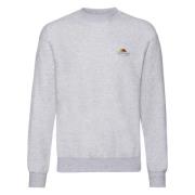 Fruit of the Loom Heren vintage sweatshirt met logoprint