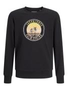 Jack & Jones Jjpalm sweat crew neck jnr