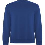 Roly Unisex adult batian sweatshirt met ronde hals