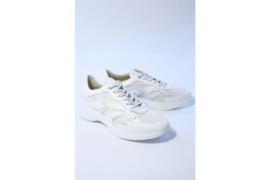 DL Sport 6540 sneakers