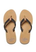 Reef Slippers cushion sands rf0a3yowbta / bruin