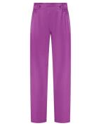 Amaya Amsterdam Broek ted