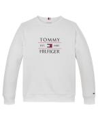 Tommy Hilfiger Sweat kb0kb09569