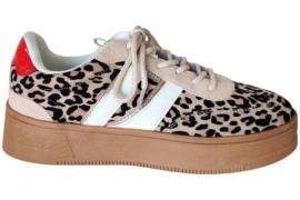 Poelman C1152148apsh1 sneaker