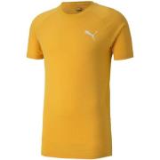Puma Heren evostripe lite t-shirt