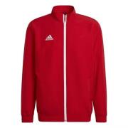 Adidas Heren entrada 22 presentatiejas