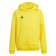 Adidas Kinderen/kinderen entrada 22 hoodie