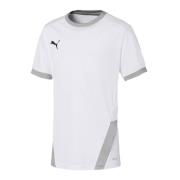 Puma Teamgoal 23 jersey voor kinderen/kinderen