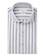 Profuomo Ppwh10021
