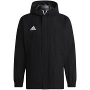 Adidas Heren entrada 22 all weather jas