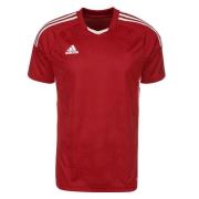Adidas Heren condivo 22 wedstrijd jersey