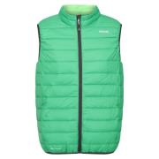 Regatta Heren marizion gewatteerd gilet