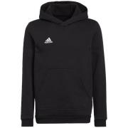 Adidas Kinderen/kinderen entrada 22 hoodie