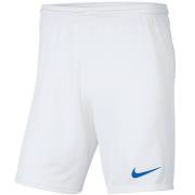 Nike Kinderen/kinderen park iii korte broek